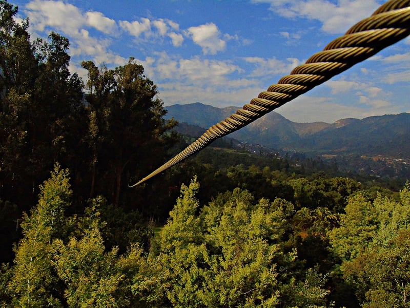 Zip Line Tours